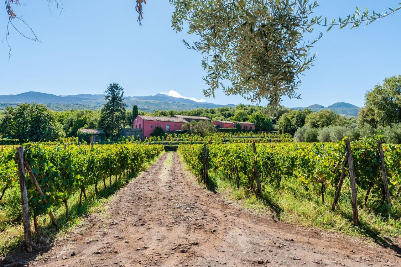 Terrazze Dell'Etna - Country Rooms And Apartments Randazzo Bagian luar foto
