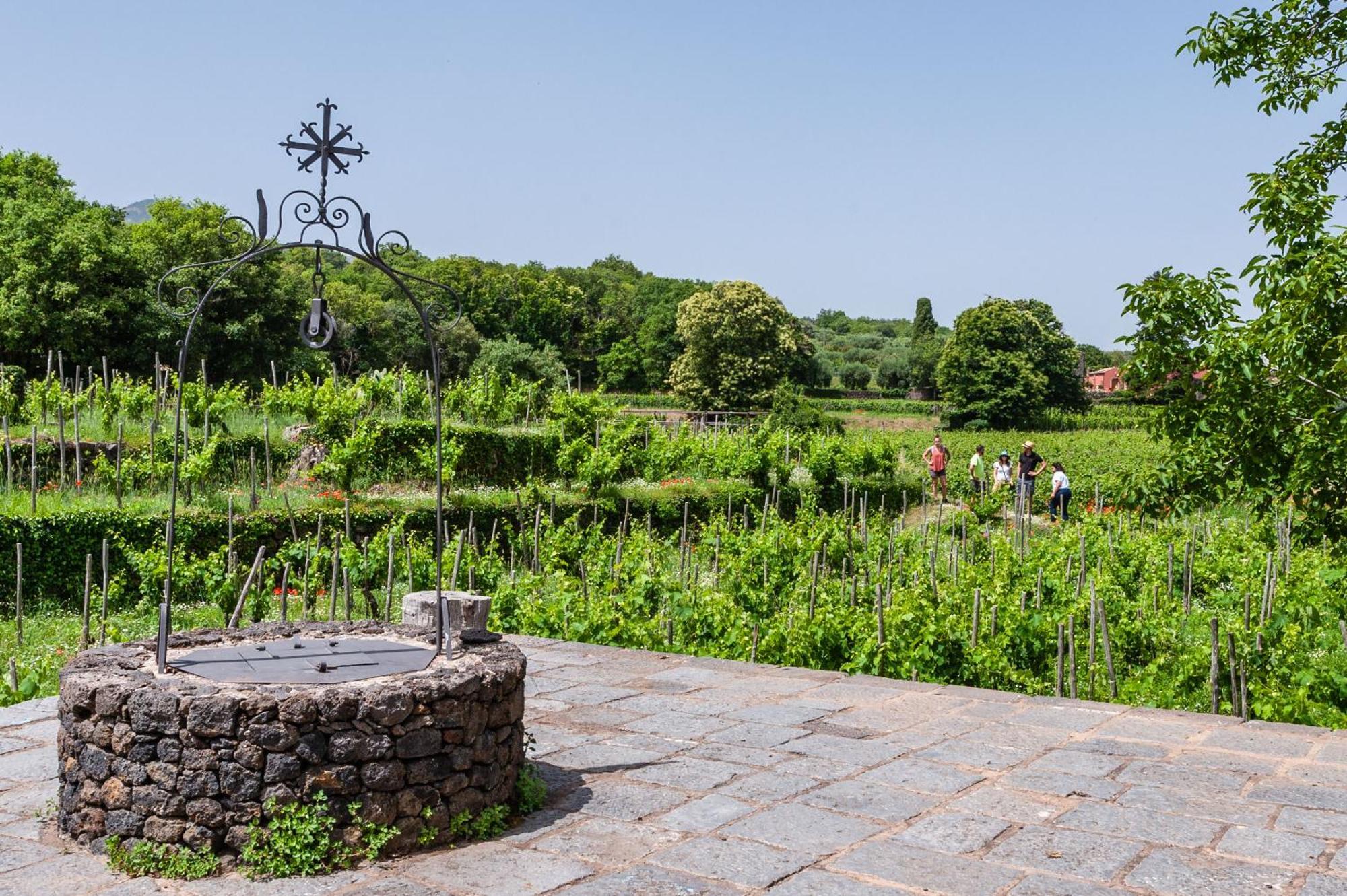 Terrazze Dell'Etna - Country Rooms And Apartments Randazzo Bagian luar foto